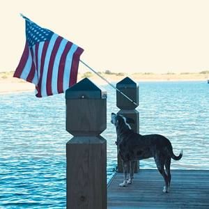 Meet your Posher, Liz